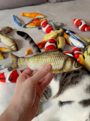 Рибка з котячою м'ятою
