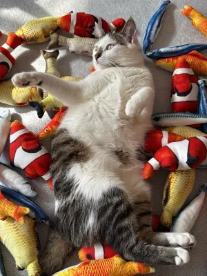 Рибка з котячою м'ятою