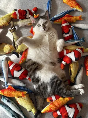 Рибка з котячою м'ятою
