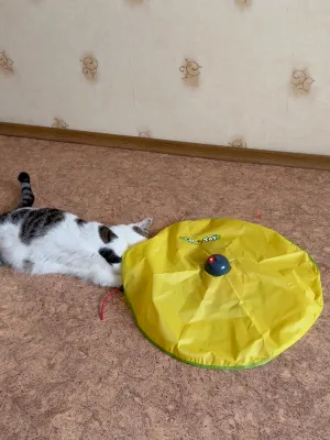 Інтерактивний килимок